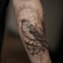 design custom tiger tattoo illustration