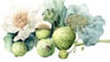 design best botanical illustration
