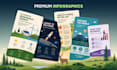 design a professional infographic