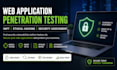 do professional web application penetration testing and vapt