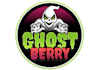 design a professional ghost logo