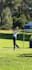 give personalized tips to improve your golf game