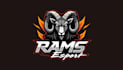 make eye catching rams head mascot logo in my style