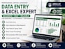 do professional excel data entry and spreadsheet