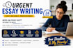 do urgent essay writing as an essay writer