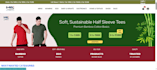 build responsive ecommerce and business websites