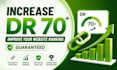 increase DR with high quality tech backlinks