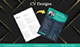 design a professional CV or resume design