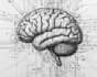 write professional ai and future tech articles