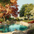 add leaves to trees, add basic landscape, add full landscape, add pool