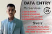 provide fast data entry and excel services