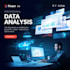 analyze and visualize your data professionally