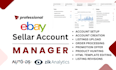 do ebay account manager expert