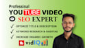 do best youtube video SEO expert optimization and channel growth manager