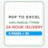 do PDF to excel data entry manually in 24 hours