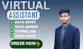 be your virtual assistant in 24 hours
