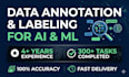 do image annotation, data labeling, polygon and bounding box for ai