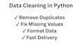 do data cleaning and preprocessing in python