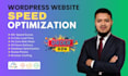 do wordpress speed optimization, speed up wordpress for google pagespeed insight