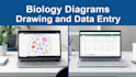 do fast data entry PDF to word biology diagram drawing