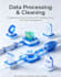 professional data processing and analysis development