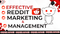 promote ai ecommerce, website business, iptv app, ai, with best reddit seo post