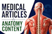 write medical, physiotherapy, and anatomy articles