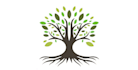 make a custom beautiful pine tree logo design