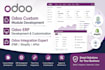 do odoo customization, bug fixing, and module development