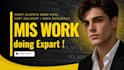 do professional mis executive and excel work