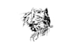 design unique wolf fighter logo