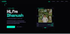 build custom python analytics dashboards and portfolio websites