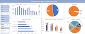 create professional excel dashboards and payroll systems