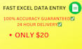 do fast and accurate excel data entry for 5 USD