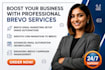 setup high converting brevo email marketing, automation and CRM migration