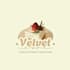 design professional social media posts and graphics