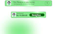 create professional 2d motion graphic and animations