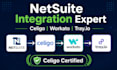 do celigo netsuite workato and tray io integrations