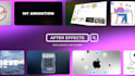 create high end 2d motion graphics and professional animations