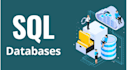 help with sql dbms and database assignments