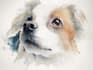 paint digital watercolour illustration