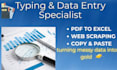 do accurate data entry, typing, PDF to excel, and copy paste