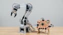 build iot, robotics, pcb, and embedded system solutions