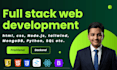 develop a professional full stack website or custom web app
