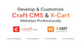 develop and customize craft cms and x cart websites professionally