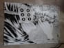 draw a manga portrait