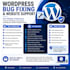 fix wordpress errors,bugs and issues