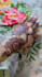 design custom bridal arabic mehndi henna for wedding