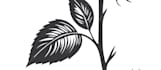 design custom name and quote tattoos