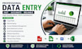 do an exellent data entry in excel and access
